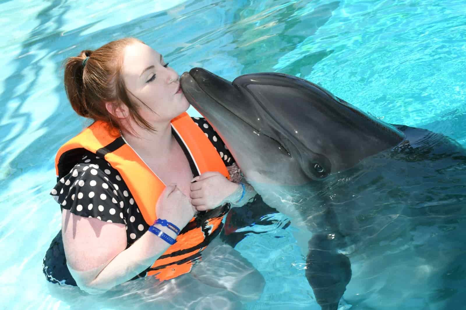 Alanya Dolphin Show and Swimming with Dolphins | Both Way Transfer is Included